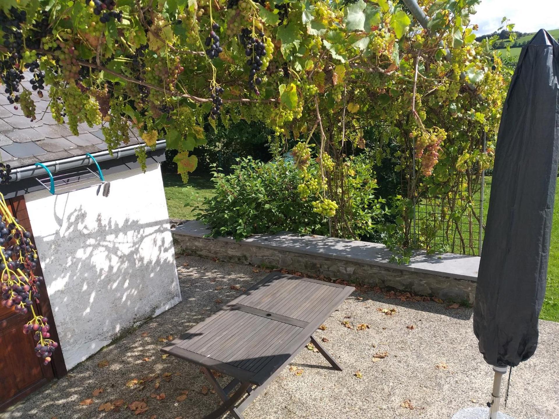 Вилла Gite L'Ecole De Ma Mere Bertogne Экстерьер фото